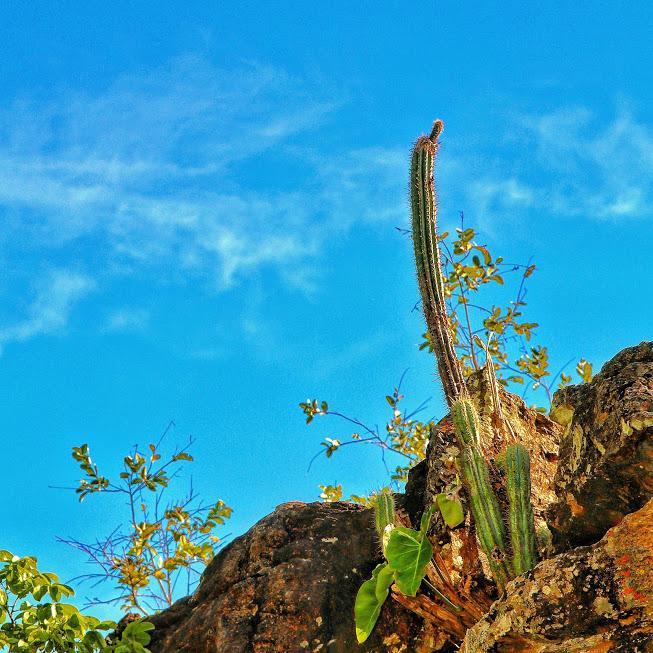 Pousada Chapada Das Mesas Riachão Exteriér fotografie